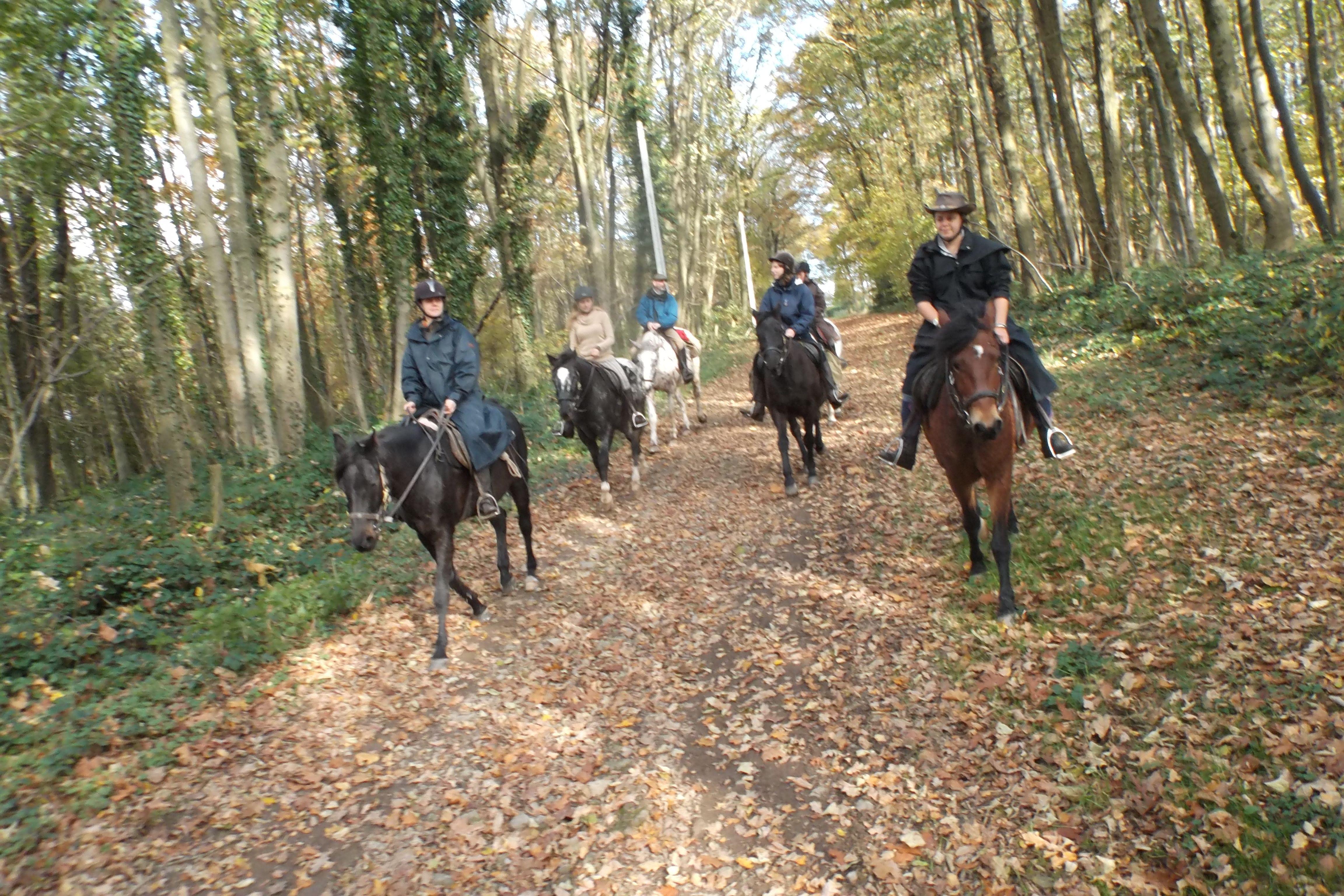 AWTE - Association Wallonne de Tourisme Equestre