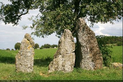 Die Megalithen der Domäne von Wéris (Kulturerbe der Wallonie)