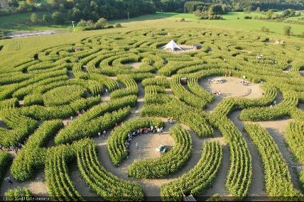 Het Labyrint