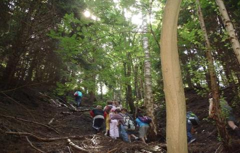 Balade en forêt