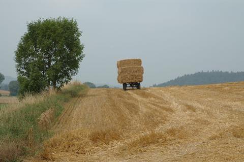 La campagne