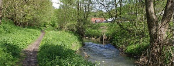 Au fil de l'eau et de la roche calcaire