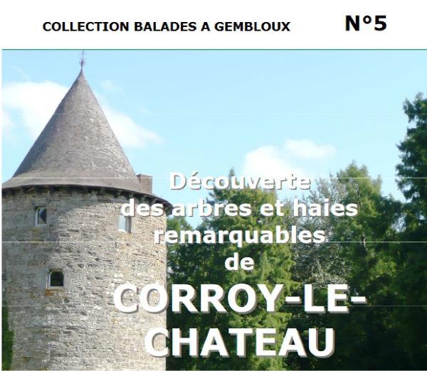 Balade à Corroy-le-Château - 