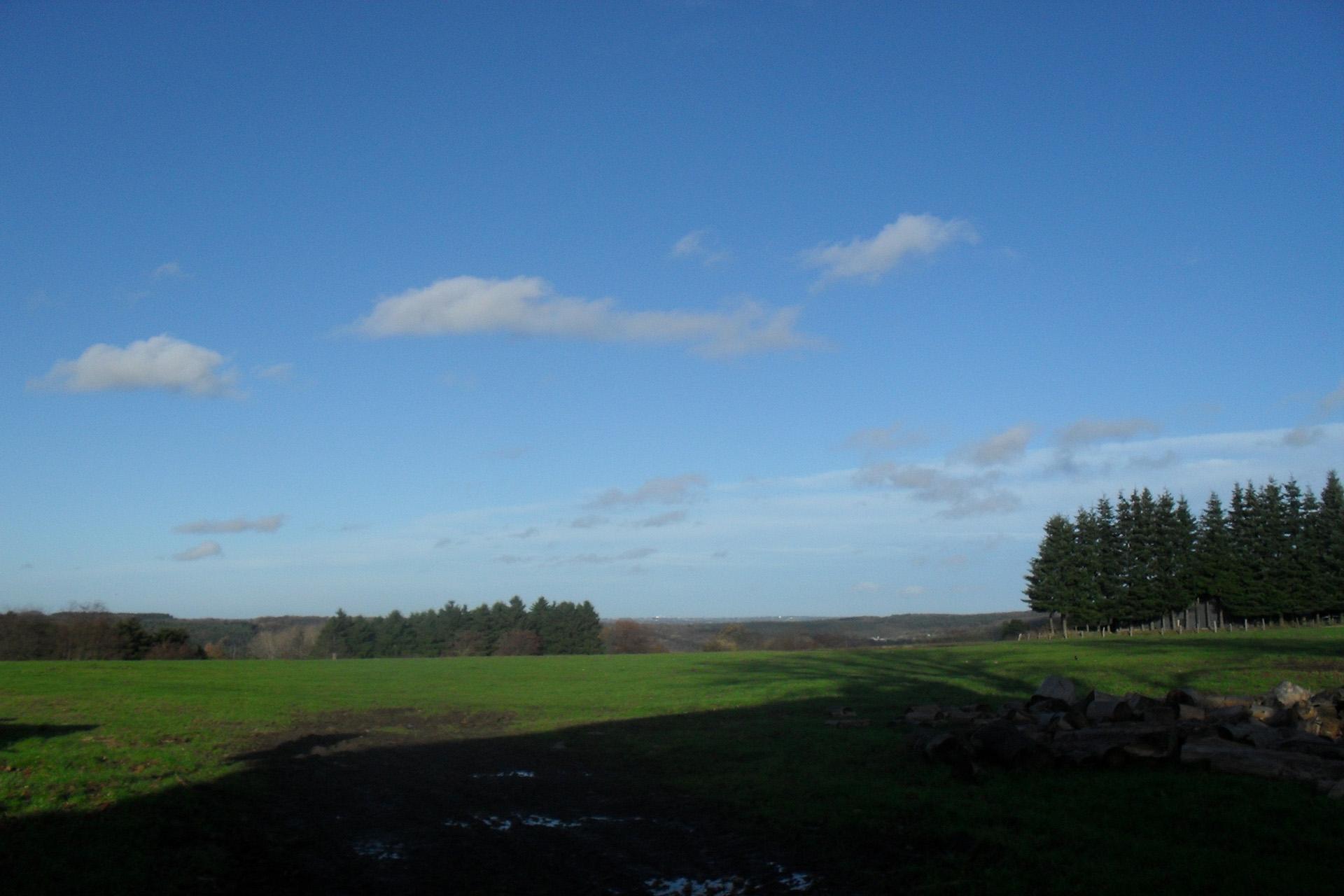 La Maison des Petits Loups