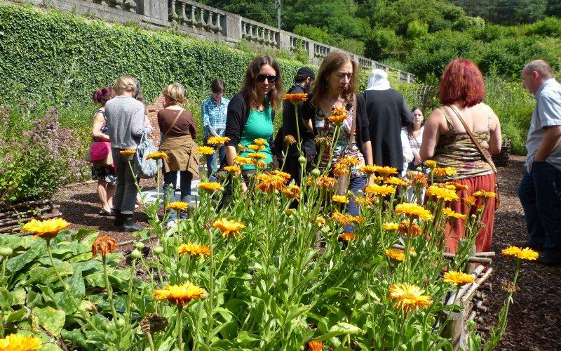 Visite Guidée - Savoirs et remèdes d'autrefois à l'Abbaye de Villers