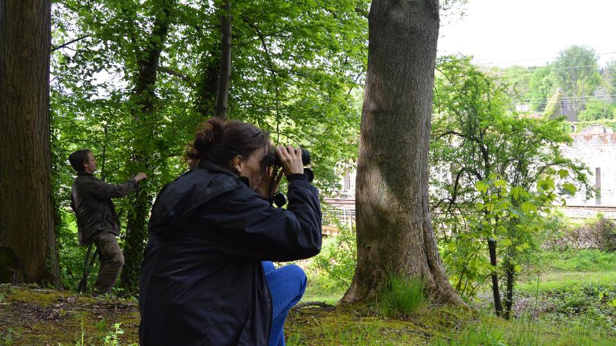 Balade nature - Le Printemps à l'Abbaye de Villers