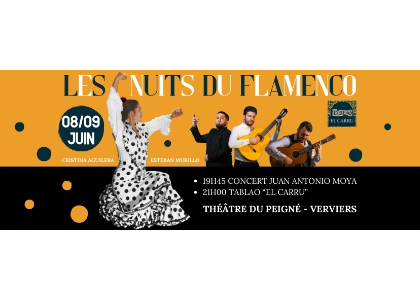 Concert: Les Nuits du Flamenco in het Théâtre du Peigné