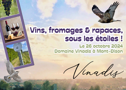 Vins, fromages et rapaces sous les étoiles à Dison !