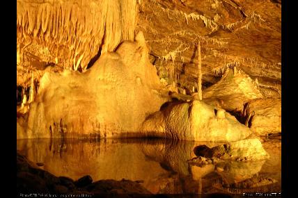 Visite guidée de la Grotte de Hotton