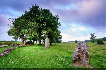 Guided tour of the legendary dolmens and standing stones in Wéris