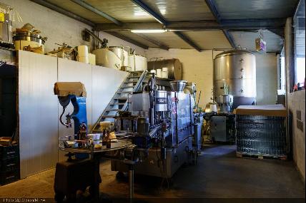 Visit tot the Saint-Monon brewery