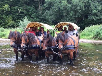 Attelage Ardennais - Tocht met paard-en-wagen
