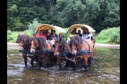 Attelage Ardennais - Tocht met paard-en-wagen