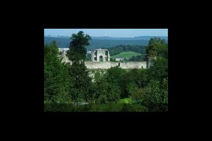 Vestiges du Chateau Comtal de Rochefort