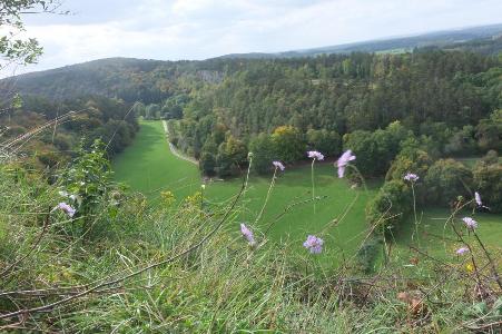 Gelbes Trail von Han-sur-Lesse