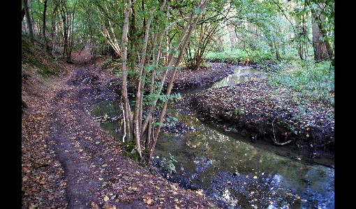 De Arton en 'la Large Eau'