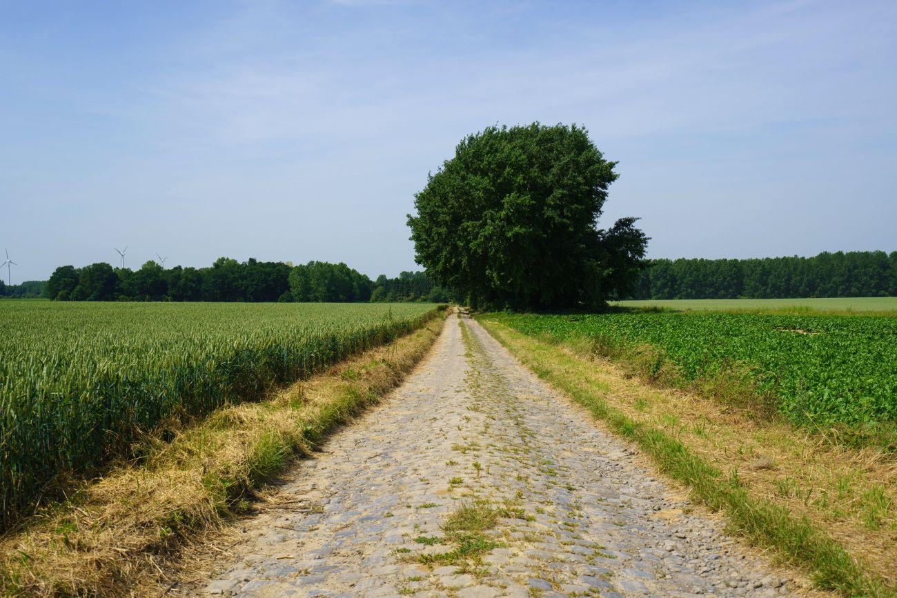 Wandeling van Tongrinne