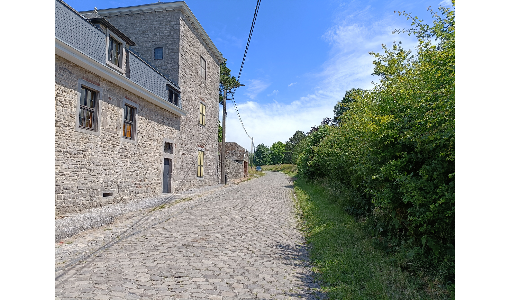 La Vî Cinse