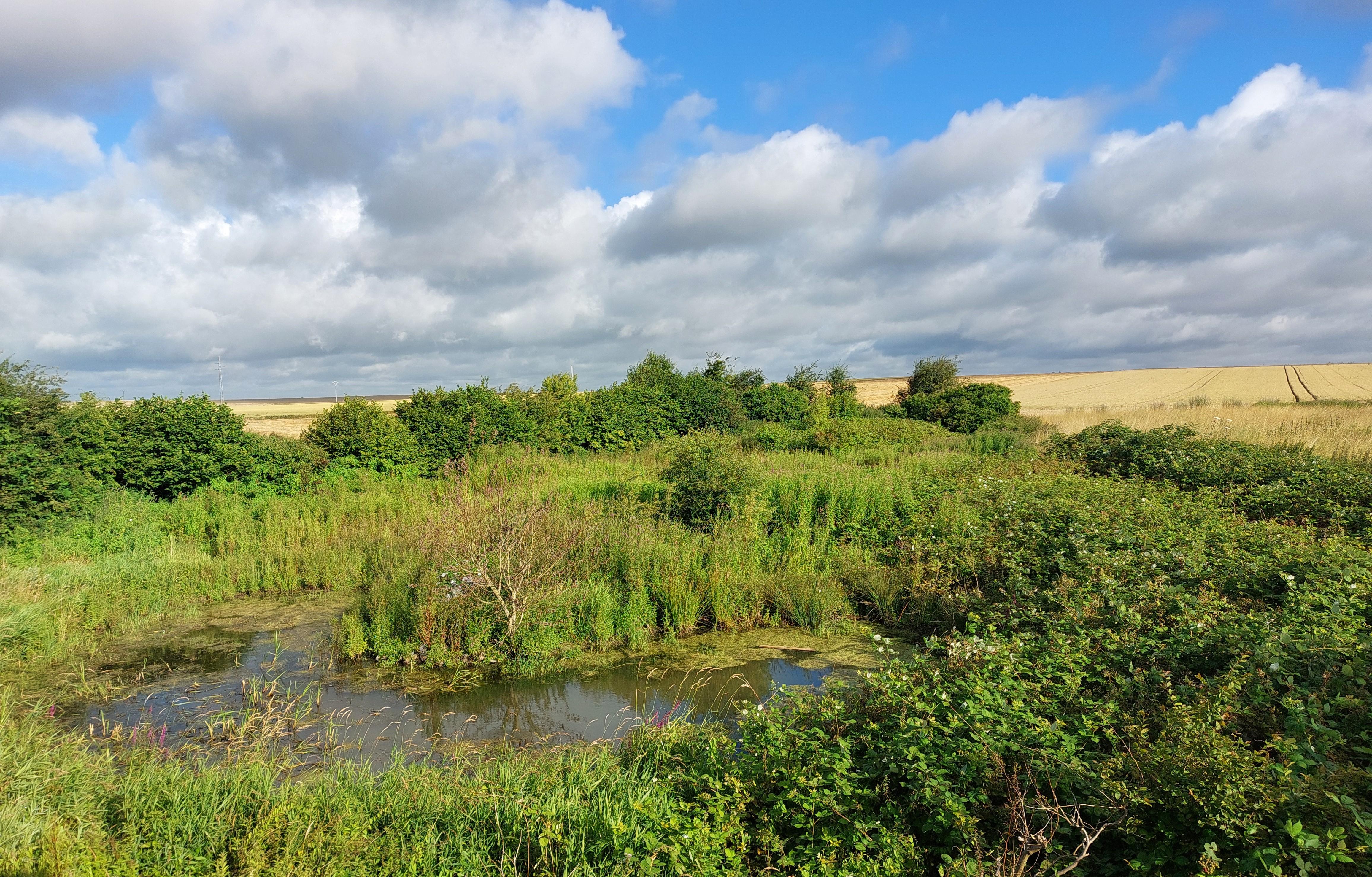 Les Trois Viviers