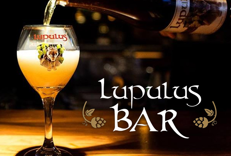 Lupulus bar.png