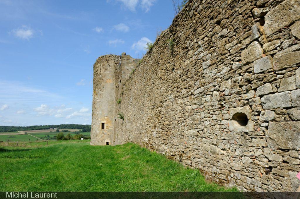 Ruins of the Castle of Montquintin (Major Heritage of Wallonia)