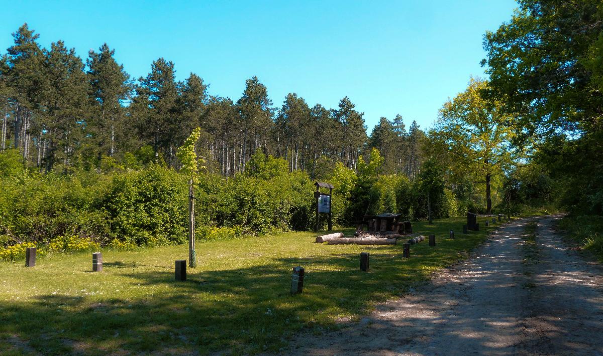Boussu-en-Fagne - camping area