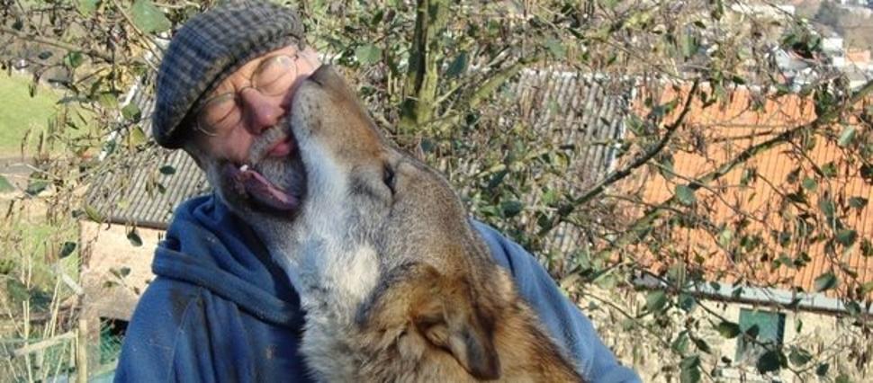 Wolf Conservation Association