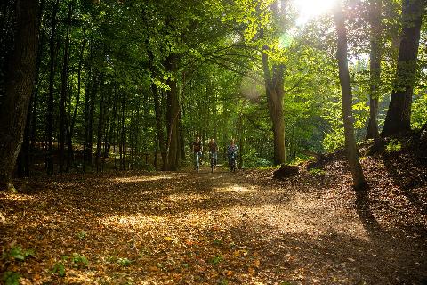 19092018_Bois_De_la_Houssière_Xavier_0010