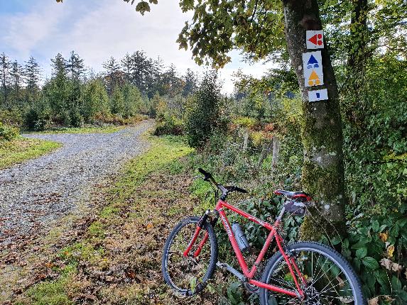 Paliseul VTT jaune Prom Périgé automne 21 AV (25)