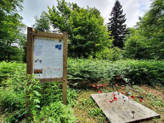 Panneau guerre VTT jaune Coquelicos poilus autnome 21 AV