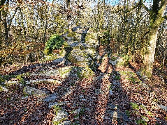 Bohan_21 automne Le Chatelet MTBA A Villeval (34)