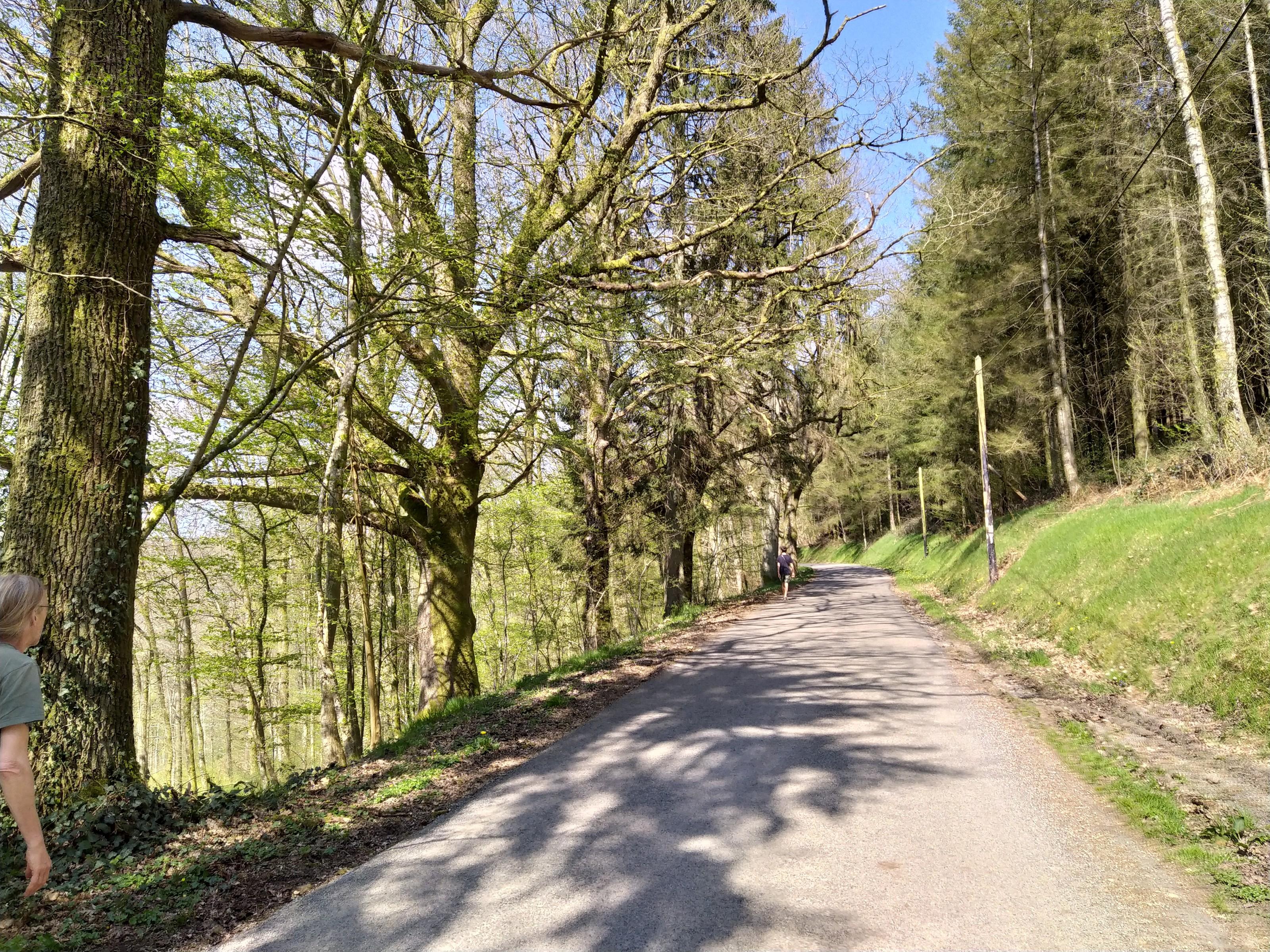 Le chemin du blanc – Maison du Tourisme de Bouillon