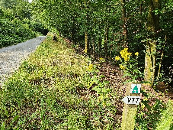 Alle-2021 ete prom 5 et vtt vert A Villeval MTBA (100)