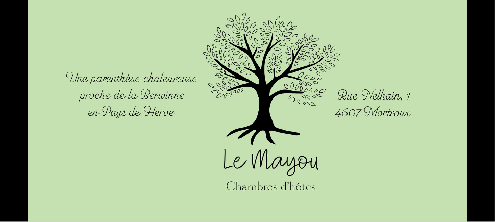 Logo CH Le Mayou_01-2022