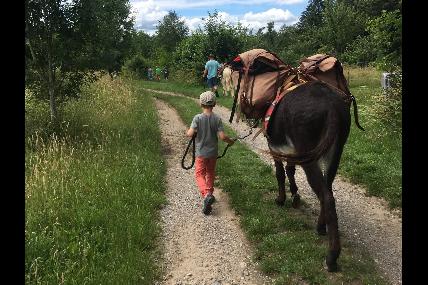 Donkey Detour - Randonnées libres avec un âne dans le Condroz.