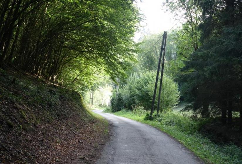 Petite Promenade du Burnot – Explore Meuse