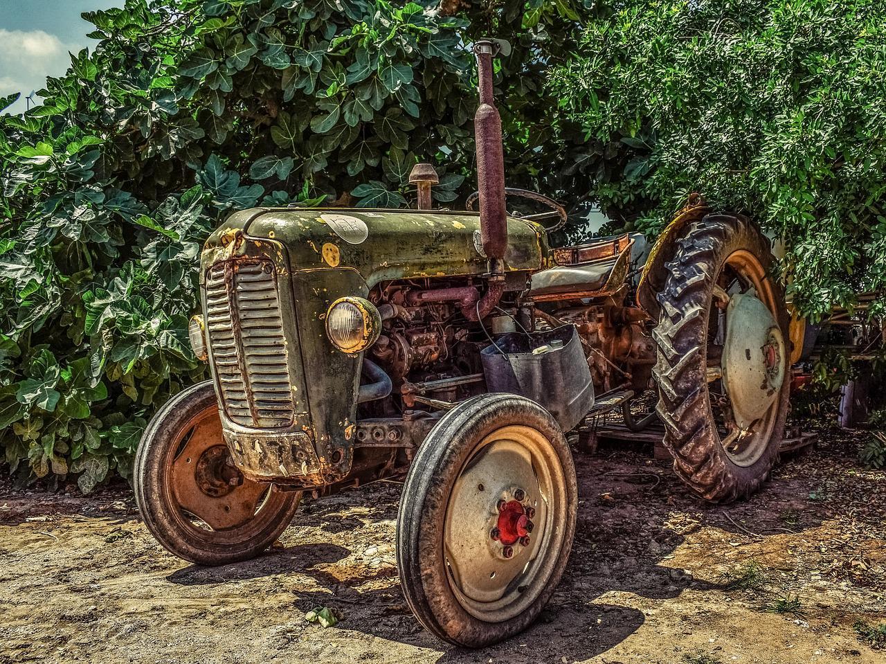 Concentration de vieux tracteurs