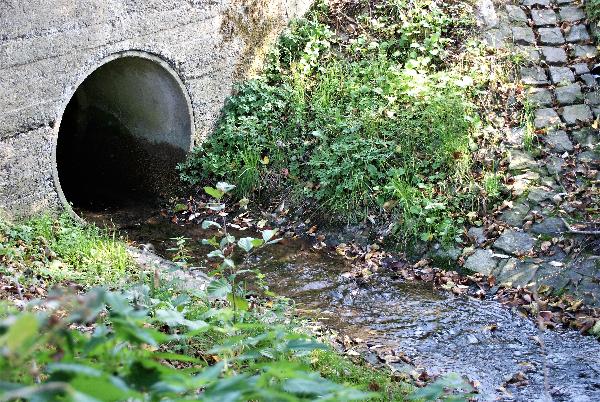 GBX Lonzée Bouche ruisseau