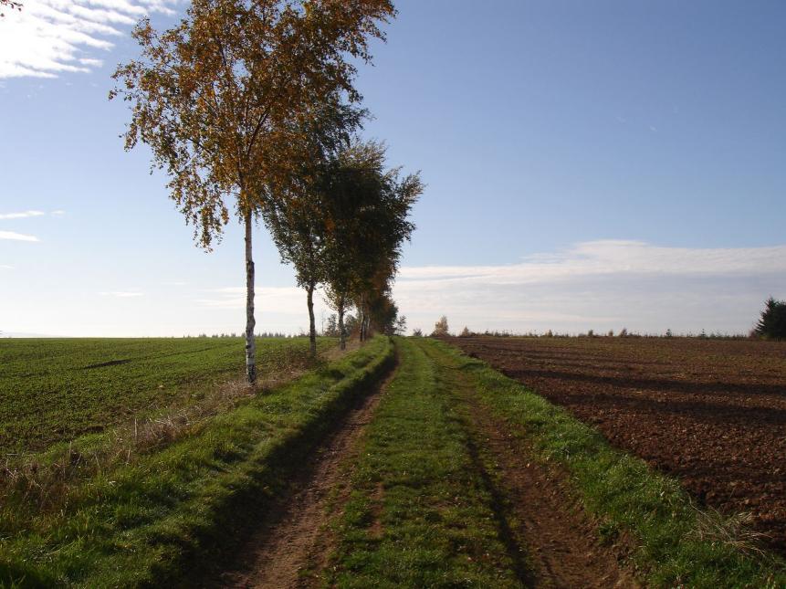 Marche-en-Famenne - Circuit VTT Bleu