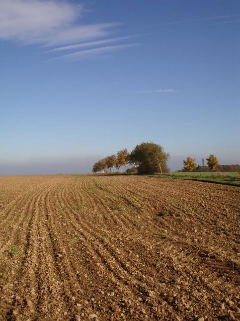 Marche-en-Famenne - Circuit VTT Bleu