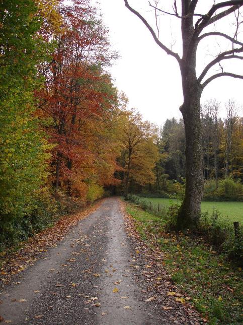 Marche-en-Famenne - Circuit VTT Bleu