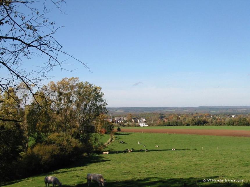 Circuit cyclotouristique 'La Famenne'