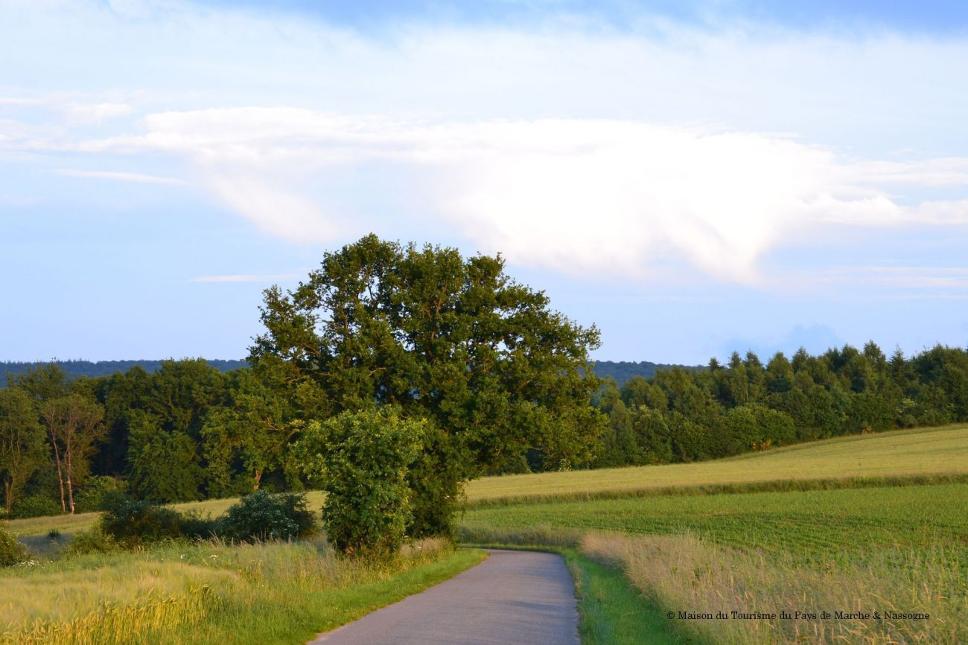 Circuit cyclotouristique 'Marche - Nassogne'