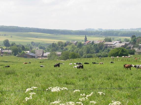 Circuit cyclotouristique 'Par monts et par vaux'