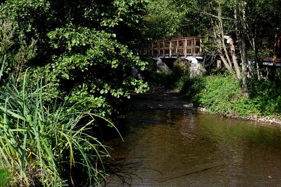 Passerelle_moulin_de_resteigne©dbcreation-MTFSH (5)