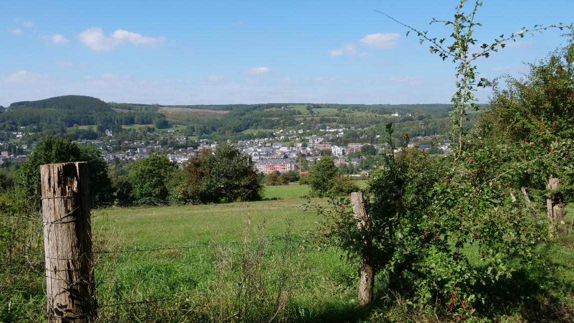 Vue-stavelot-abbaye-route-de-somagne champs-végétation (11)