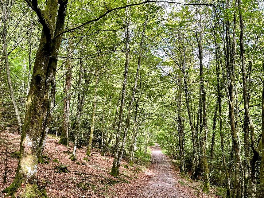 Promenade de Marsoult © MTSH - TEXTO Pascal Willems (3)