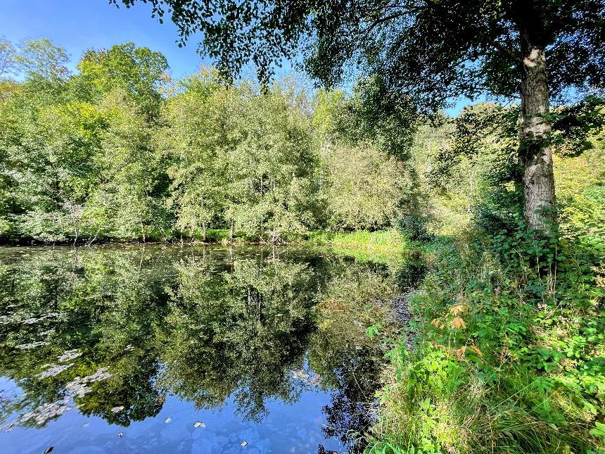 Promenade du Moulin et du Bru © MTFSH - TEXTO Pascal Willems (8)