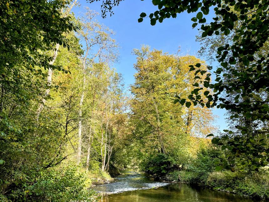 Promenade du Moulin et du Bru © MTFSH - TEXTO Pascal Willems (37)