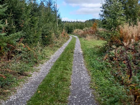 Bièvre autom22 VTT jaune 21 MTBA LD (20)